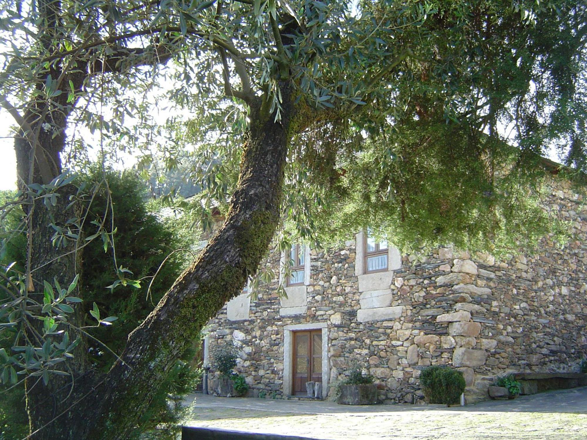 Casa Do Pinto Pensionat Arouca Eksteriør billede